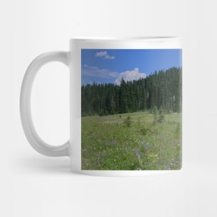 850_4641 Mug